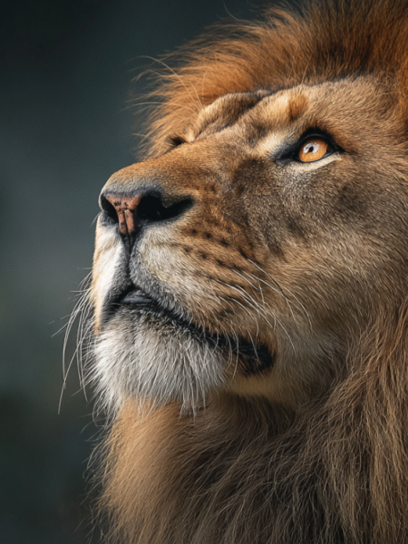 Finding the courage to share the gospel