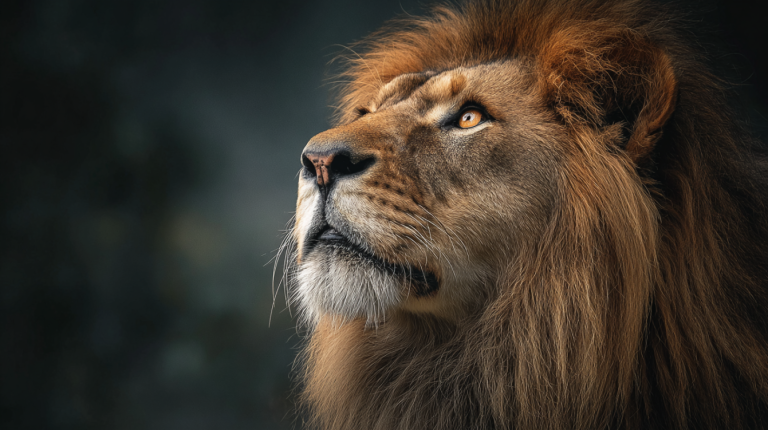 Finding the courage to share the gospel